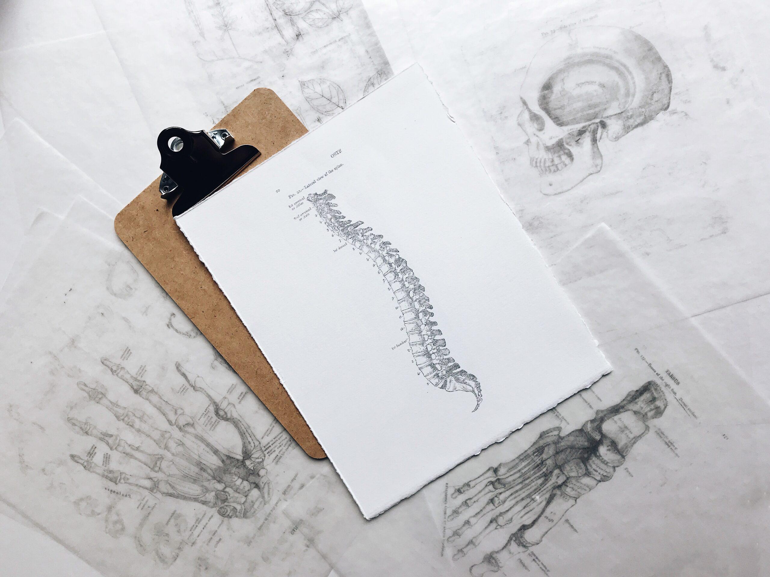 Mains d'un ostéopathe pratiquant une manipulation manuelle